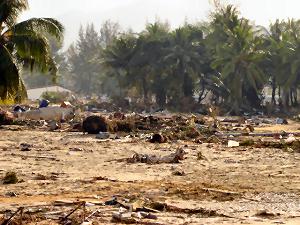 A Decimated Khao Lak