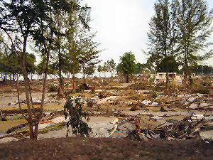 A Decimated Khao Lak