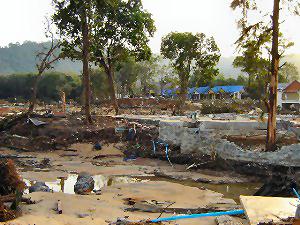 A Decimated Khao Lak